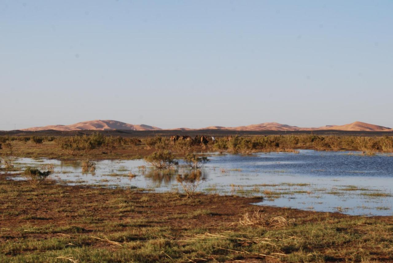 Takojt Hotell Merzouga Exteriör bild